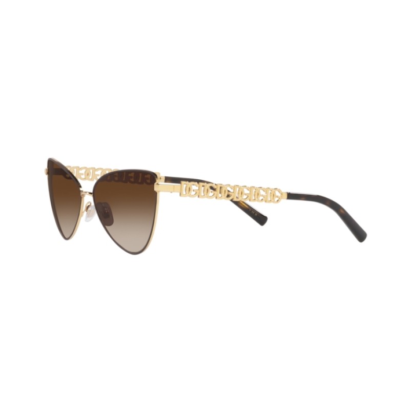 Dolce & Gabbana DG 2290 132013 Matte | Sunglasses