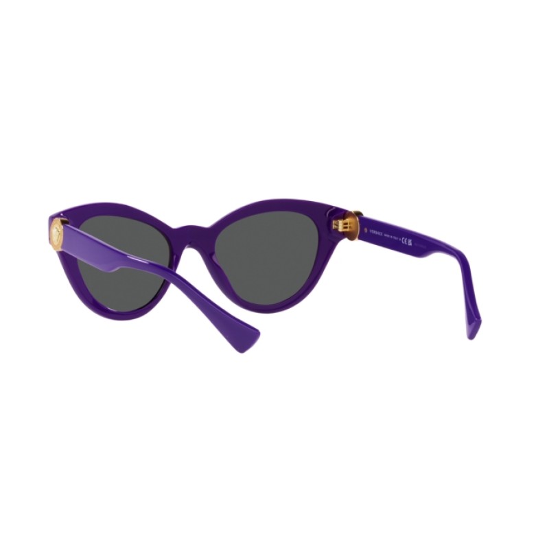 wholesaledesignerhub com Purple & Gold Versace Sunglasses