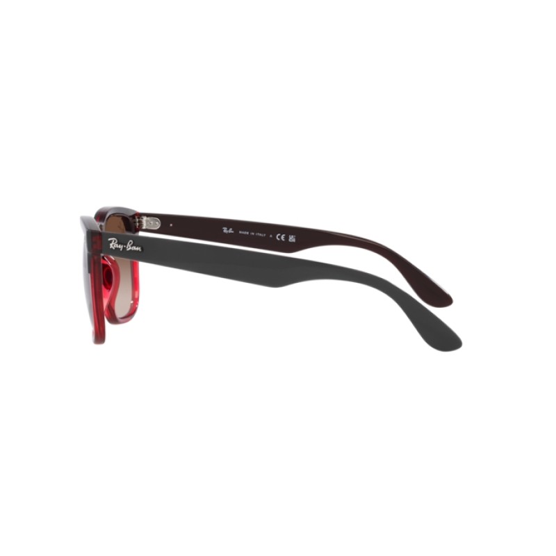 Ray-Ban RB 4487 Steve 663113 Grey On Transparent Red
