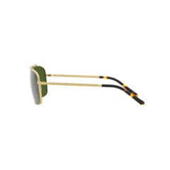 Ray-ban RB 3796 - 9196P1 Gold