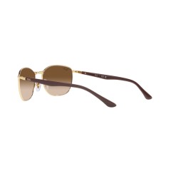 Ray-Ban RB 3702 - 900951 Brown On Gold