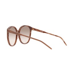 Vogue VO 5509S - 307113 Brown Horn