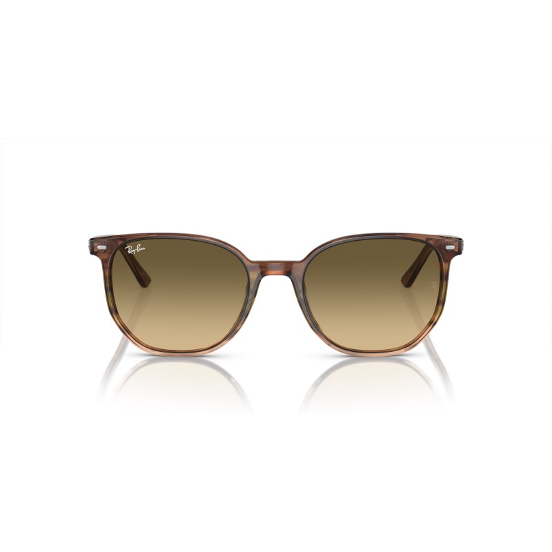 Ray-Ban RB 2197 Elliot 13920A Striped Brown & Green