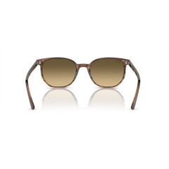 Ray-Ban RB 2197 Elliot 13920A Striped Brown & Green