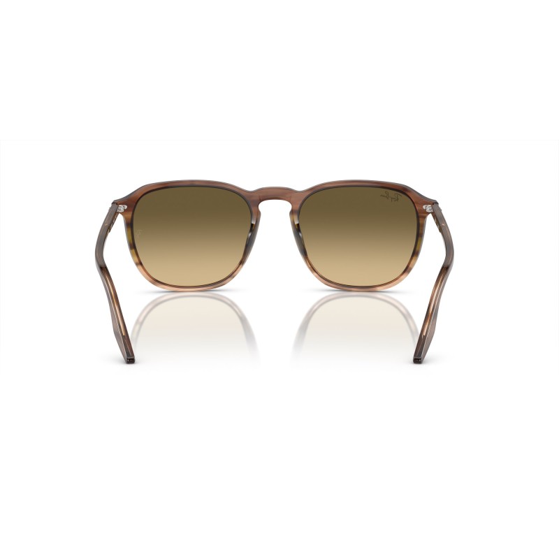 Ray-Ban RB 2203 - 13920A Striped Brown & Green