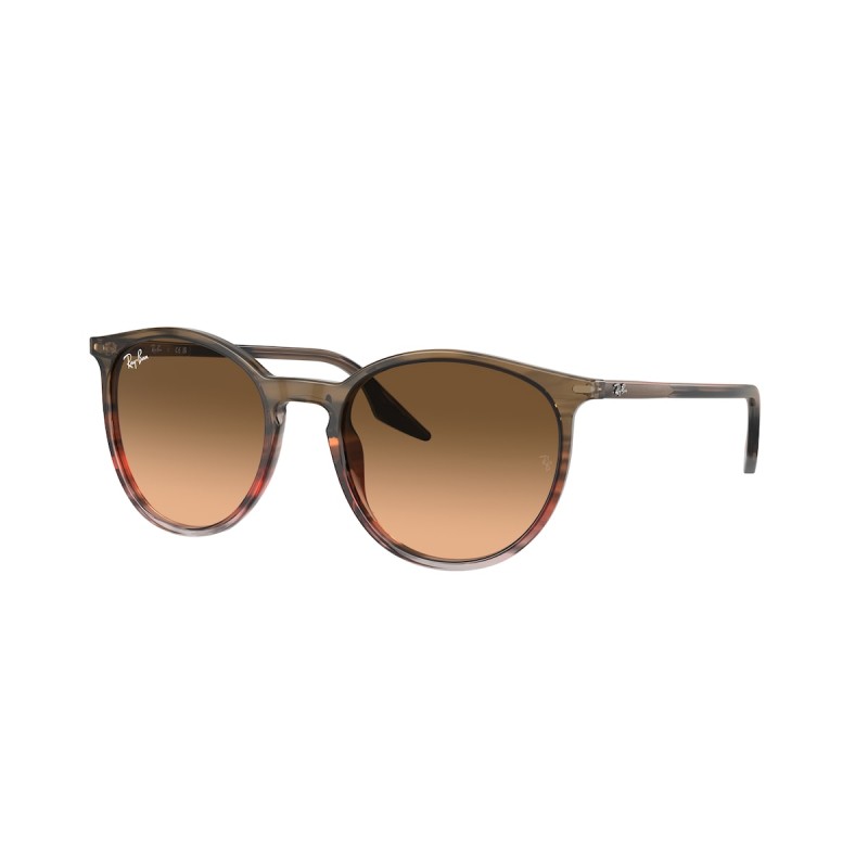 Ray-Ban RB 2204 - 13953B Striped Brown & Red